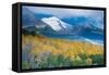 Aspen and Snow-Capped Peaks, La Sal Mountains, Utah-Tom Till-Framed Stretched Canvas