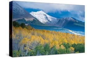 Aspen and Snow-Capped Peaks, La Sal Mountains, Utah-Tom Till-Stretched Canvas