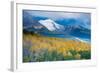 Aspen and Snow-Capped Peaks, La Sal Mountains, Utah-Tom Till-Framed Photographic Print