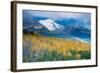 Aspen and Snow-Capped Peaks, La Sal Mountains, Utah-Tom Till-Framed Photographic Print