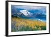 Aspen and Snow-Capped Peaks, La Sal Mountains, Utah-Tom Till-Framed Photographic Print