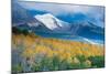 Aspen and Snow-Capped Peaks, La Sal Mountains, Utah-Tom Till-Mounted Photographic Print