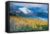 Aspen and Snow-Capped Peaks, La Sal Mountains, Utah-Tom Till-Framed Stretched Canvas