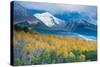 Aspen and Snow-Capped Peaks, La Sal Mountains, Utah-Tom Till-Stretched Canvas