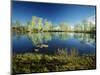 Aspen and Willow Trees, Steen's Mountain National Recreation Lands, Oregon, USA-Scott T. Smith-Mounted Photographic Print