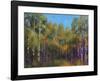 Aspen Autumn-Thomas Stotts-Framed Art Print