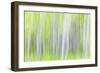 Aspen Blur I-Kathy Mahan-Framed Photographic Print