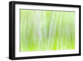 Aspen Blur II-Kathy Mahan-Framed Photographic Print