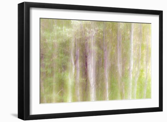 Aspen Blur III-Kathy Mahan-Framed Photographic Print