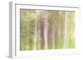 Aspen Blur III-Kathy Mahan-Framed Photographic Print