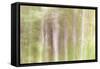 Aspen Blur III-Kathy Mahan-Framed Stretched Canvas