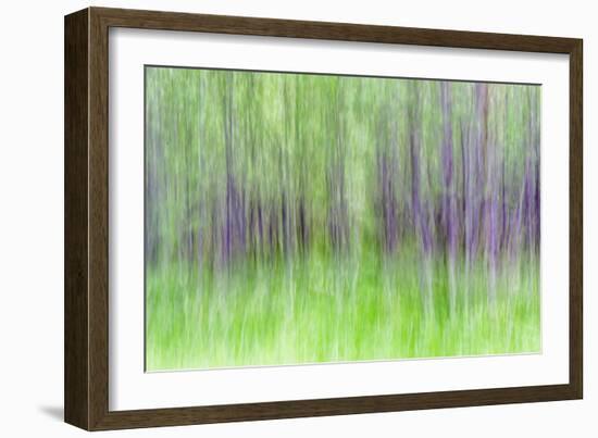 Aspen Blur IV-Kathy Mahan-Framed Photographic Print