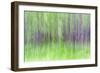 Aspen Blur IV-Kathy Mahan-Framed Photographic Print