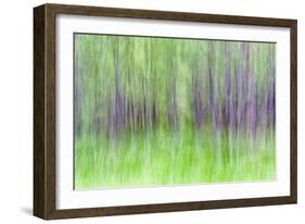 Aspen Blur IV-Kathy Mahan-Framed Photographic Print