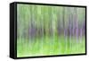 Aspen Blur IV-Kathy Mahan-Framed Stretched Canvas