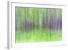 Aspen Blur IV-Kathy Mahan-Framed Photographic Print