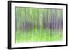 Aspen Blur IV-Kathy Mahan-Framed Photographic Print