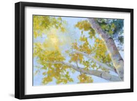 Aspen Canopy-Nanette Oleson-Framed Art Print