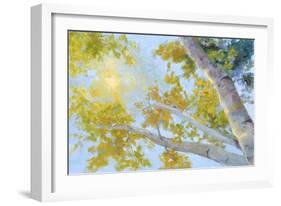 Aspen Canopy-Nanette Oleson-Framed Art Print