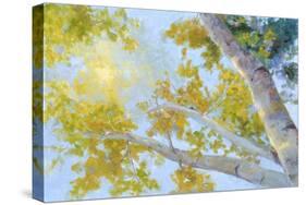 Aspen Canopy-Nanette Oleson-Stretched Canvas