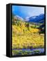 Aspen Colorado Landscape-duallogic-Framed Stretched Canvas