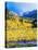Aspen Colorado Landscape-duallogic-Stretched Canvas