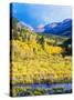 Aspen Colorado Landscape-duallogic-Stretched Canvas