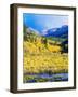 Aspen Colorado Landscape-duallogic-Framed Photographic Print