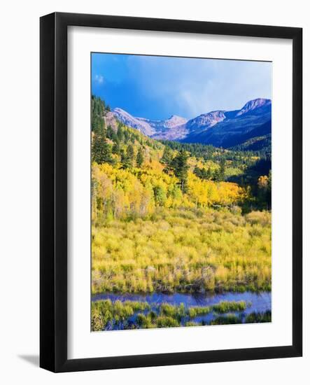 Aspen Colorado Landscape-duallogic-Framed Photographic Print