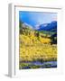 Aspen Colorado Landscape-duallogic-Framed Photographic Print