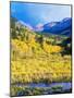 Aspen Colorado Landscape-duallogic-Mounted Photographic Print