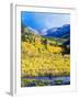 Aspen Colorado Landscape-duallogic-Framed Photographic Print