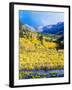 Aspen Colorado Landscape-duallogic-Framed Photographic Print