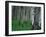 Aspen, Colorado, USA-Jerry Ginsberg-Framed Photographic Print