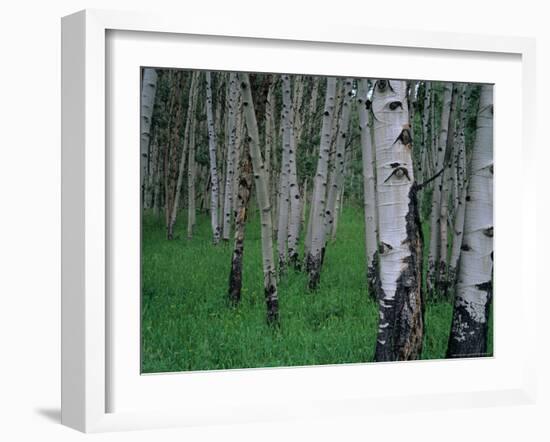 Aspen, Colorado, USA-Jerry Ginsberg-Framed Photographic Print