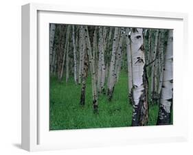 Aspen, Colorado, USA-Jerry Ginsberg-Framed Photographic Print