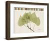 Aspen Colors-Albert Koetsier-Framed Art Print