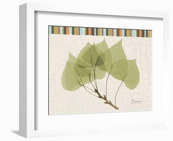 Aspen Colors-Albert Koetsier-Framed Art Print