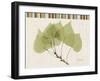 Aspen Colors-Albert Koetsier-Framed Art Print