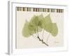 Aspen Colors-Albert Koetsier-Framed Art Print