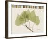 Aspen Colors-Albert Koetsier-Framed Art Print