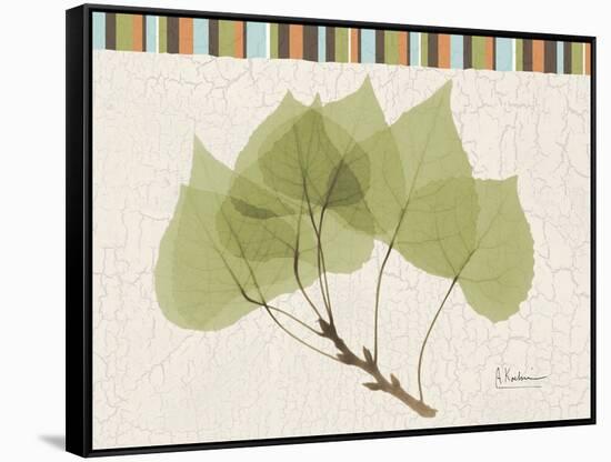 Aspen Colors-Albert Koetsier-Framed Stretched Canvas