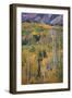 Aspen Escape-Joe Cornish-Framed Giclee Print