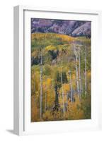 Aspen Escape-Joe Cornish-Framed Giclee Print