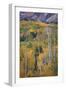 Aspen Escape-Joe Cornish-Framed Giclee Print