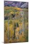 Aspen Escape-Joe Cornish-Mounted Giclee Print