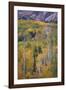 Aspen Escape-Joe Cornish-Framed Giclee Print