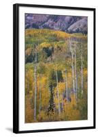 Aspen Escape-Joe Cornish-Framed Giclee Print