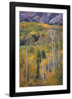 Aspen Escape-Joe Cornish-Framed Giclee Print