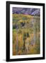 Aspen Escape-Joe Cornish-Framed Giclee Print